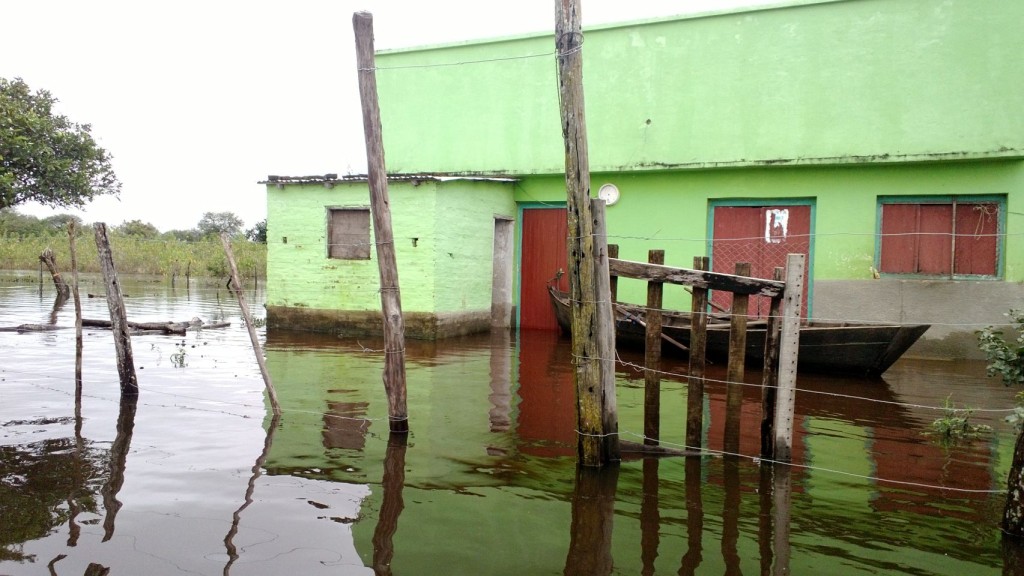 Más de 100 familias de la isla Chaco’i (frente a Concepción) y el barrio San Roque de la capital del primer departamento se encuentran con viviendas inundadas por la crecida del río Paraguay