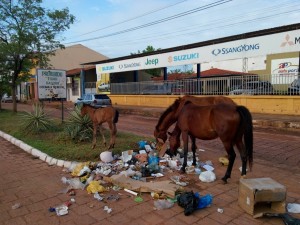 Inadmisible. Estos caballos no solo son un peligro para el tránsito, también esparcen basura.