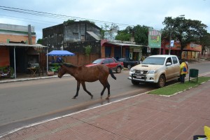 En plena Avda. de Pinedo este caballo pone en peligro el tránsito.