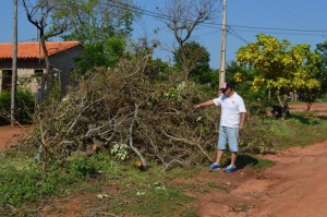 Vecinos reforestando/Foto Freddy Rojas/ABC
