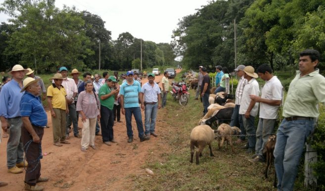 La comunidad recibió un total de 120 ovejas. Foto: Carlos Escobar.