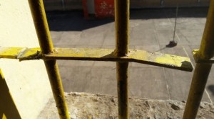 Así quedó la reja (foto gentileza)