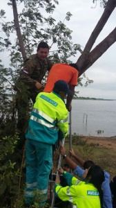 El joven según la madre sufre de depresión y es adicto a las drogas