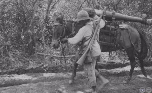 Imágenes de la guerra