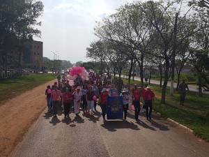 Caminata octubre rosa 