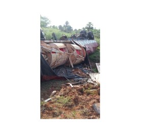 El camión que protagonizó el accidente