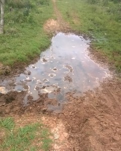 Camino angosto , sucio y en mal estado