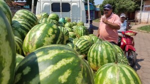 Variedad. El productor Juan Díaz comercializa el producto en Concepción, a varios costos.