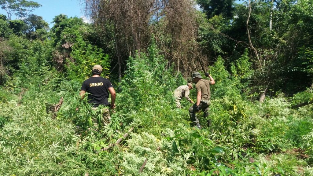 El procedimiento fue realizado en una reserva natural