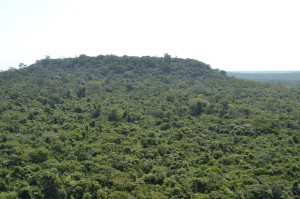 Sobrevuelo demuestra el estado de Cerro Guaraní