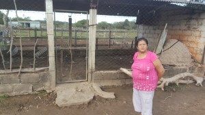 Miedo. Doña Venancia muestra su corral vacío, tras haber perdido a siete de sus animales.