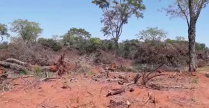 Grave daño ambiental. El área afectada sería parte de la zona protegida del río Ypané.