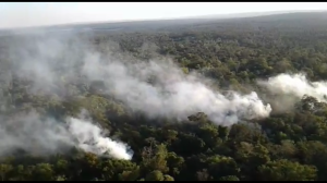 Vista aérea de la zona donde se halló la droga 