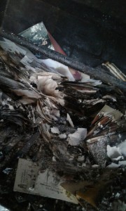 Biblioratos también fueron quemados 