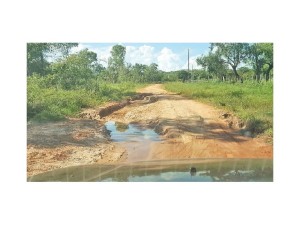 Las condiciones de los caminos rurales estan en pesimo estado 