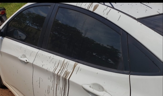 El vehiculo afectado