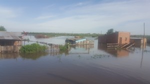 Desolación. La gran cantidad de agua perjudicó a numerosas familias concepcioneras, cuyas viviendas están anegadas.