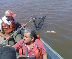 El trabajo realizado esta mañana
