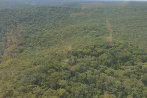 Vista aérea del parque nacional