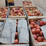 Cae carga de productos frutihortícolas de contrabando en Yby Ya’u