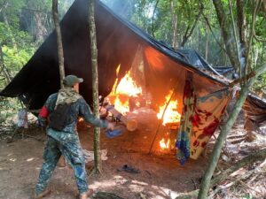 Operación ECO 5: continúan los golpes al narcotráfico en Yby Yaú
