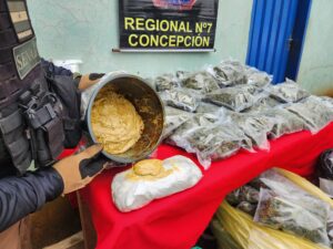 SENAD desmantela centro de producción y acopio de marihuana “Skunk” en Tacuati