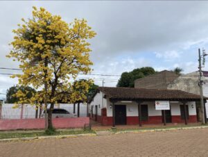 La Cruz Roja Filial Concepción inaugura “La Tiendita” para fortalecer su labor humanitaria