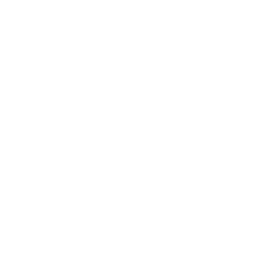 Concepción al Día