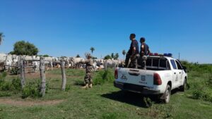 Denuncian robo de cinco vacas en una estancia de Sargento José Félix López