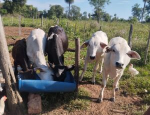 Familia allanada en Roberto L. Pettit aclara que no hubo irregularidades