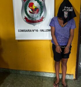 Aprehenden a una mujer por presunto caso de violencia familiar en Vallemí