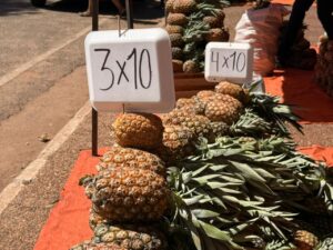 Alta producción garantiza más días de feria de piña en Concepción