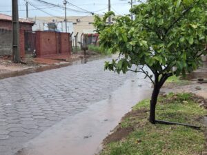Copiosa lluvia cae sobre Concepción y provoca cortes de energía eléctrica