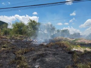 Incendio de pastizal moviliza a bomberos voluntarios en la SENADIS