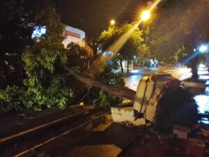Tormenta en Concepción dejó árboles caídos, casas destechadas y cortes de energía en varios barrios