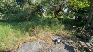 Reclamo vecinal por baldíos sucios en el Barrio Inmaculada