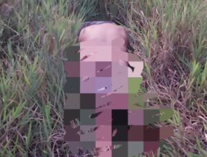 Peatón muere tras ser atropellado por un vehículo que se dio a la fuga en Horqueta