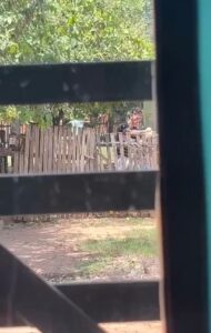 Joven habría maltratado a su abuela en San Luis