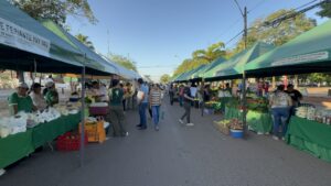 Feria departamental de la agricultura familiar se instala frente a la plaza Pinedo por Semana Santa