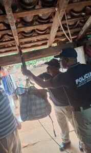 Allanamientos por abigeato en Belén dejan evidencias incautadas en varias viviendas