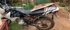 Motociclista resultó herido tras chocar contra un perro en pleno centro de Concepción