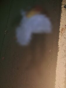 Peatón indígena fallece tras múltiple choque en Pasiño