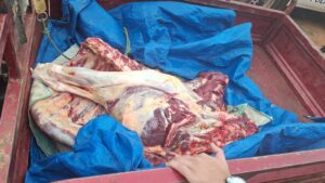 Incautan carne vacuna de dudosa procedencia y un motocarro en Belén