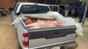 Incautan más de 600 kilos de carne transportada de forma irregular en Concepción