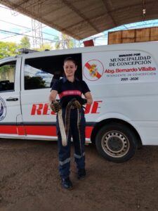 Ante aumento de casos, instan a no intervenir y llamar a bomberos