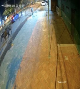 Motociclista sufre lesiones graves tras choque contra un automóvil en Concepción