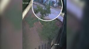 Circulaba en contramano, provocó un accidente y huyó: víctima lo busca para llegar a un acuerdo