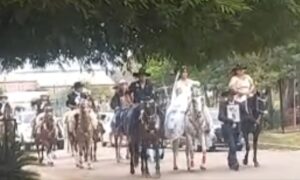Entre aplausos y música: novios llegan a caballo y sorprenden en Loreto