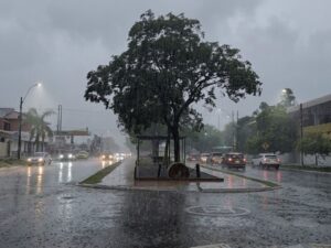 Tormentas ingresarían al país y alcanzarían Concepción durante el fin de semana