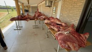 Incautan más de una tonelada de carne de dudosa procedencia en control policial en Horqueta
